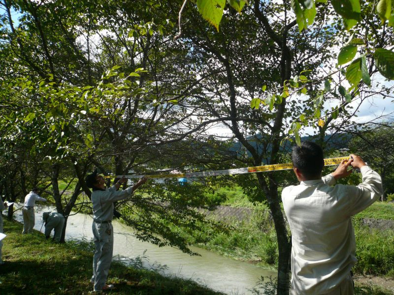 調査２　樹冠の大きさの測定